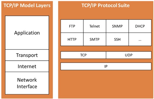 TCP/IP Model Layers and Protocol Suite